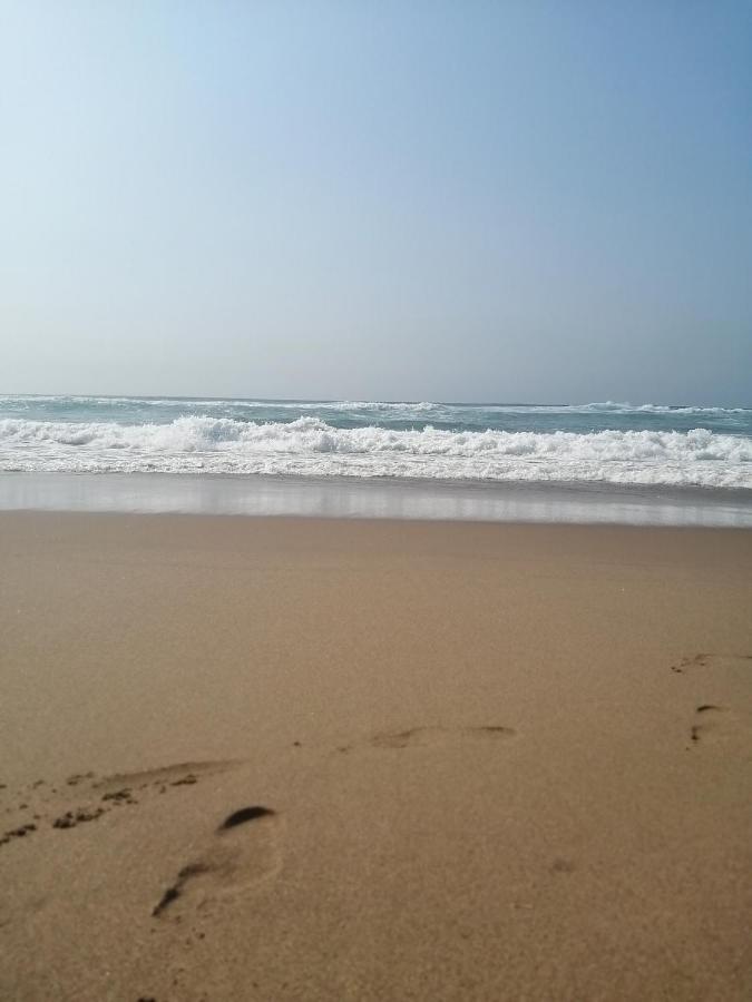 Apartament Dromedaris Amanzimtoti Zewnętrze zdjęcie